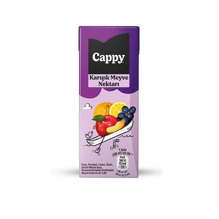 Cappy Bahçe Karışık Meyve Nektarı 200 Ml X 27 Adet