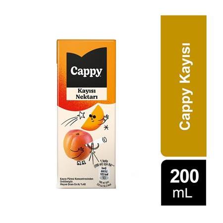 Cappy Bahçe Kayısı Nektarı 200 Ml X 24 Adet